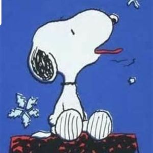 Meet your Posher, Sandy